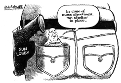 CONGRESS AND GUN LOBBY by Jimmy Margulies