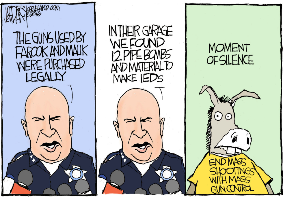 Mass Shooting Debate
