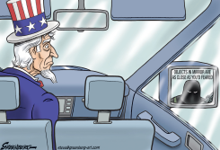 OBJECTS IN MIRROR by Steve Greenberg
