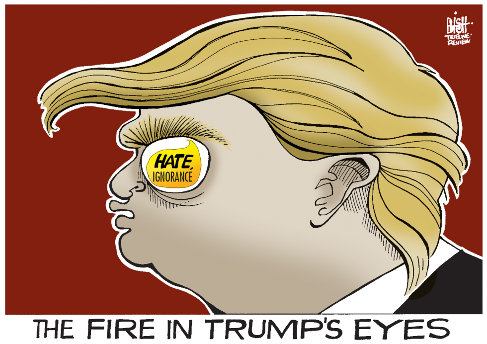 FIRE IN TRUMP'S EYES, COLOR