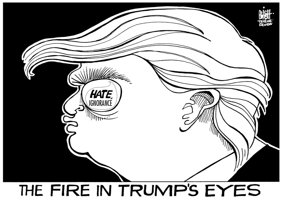 FIRE IN TRUMP'S EYES, B/W