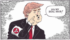 DONALD TRUMP  by Bob Englehart