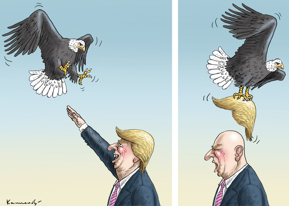 THE TIME´S EAGLE UNCLE SAM