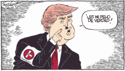 DONALD TRUMP /  by Bob Englehart