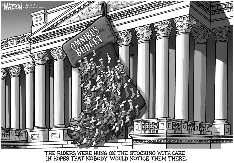 Policy Riders Overwhelm Year End Omnibus Budget Bill
