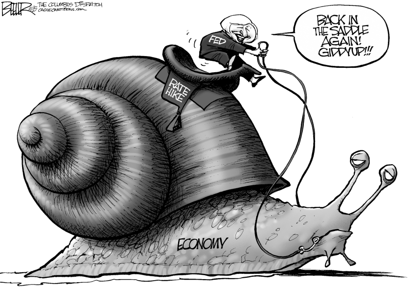 Snail Rider