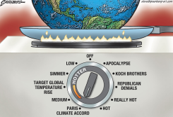 EARTH STOVE by Steve Greenberg