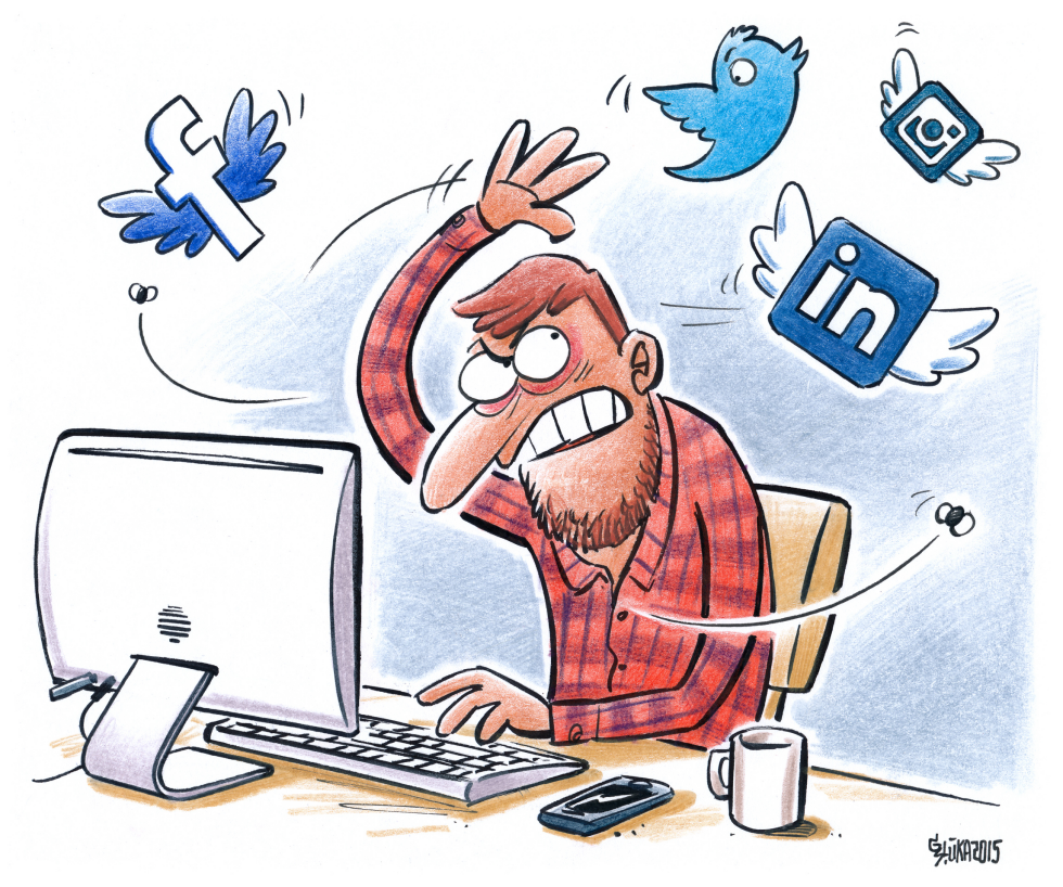 Social flies