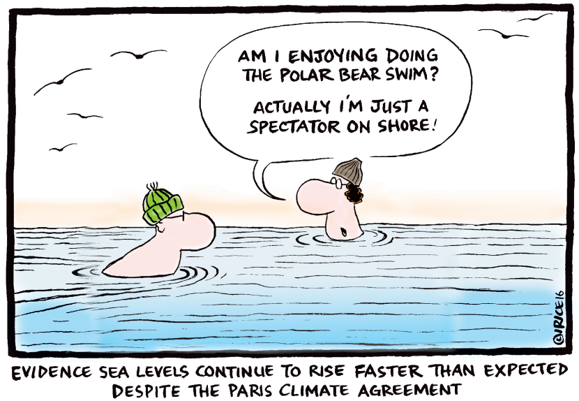 The Polar Bear Swim