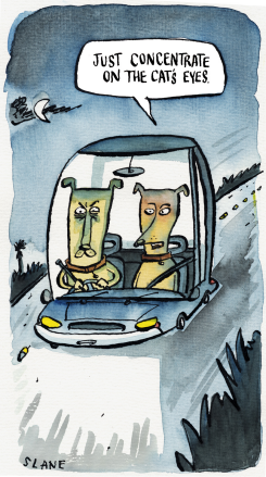 CATS EYES IN THE ROAD by Chris Slane