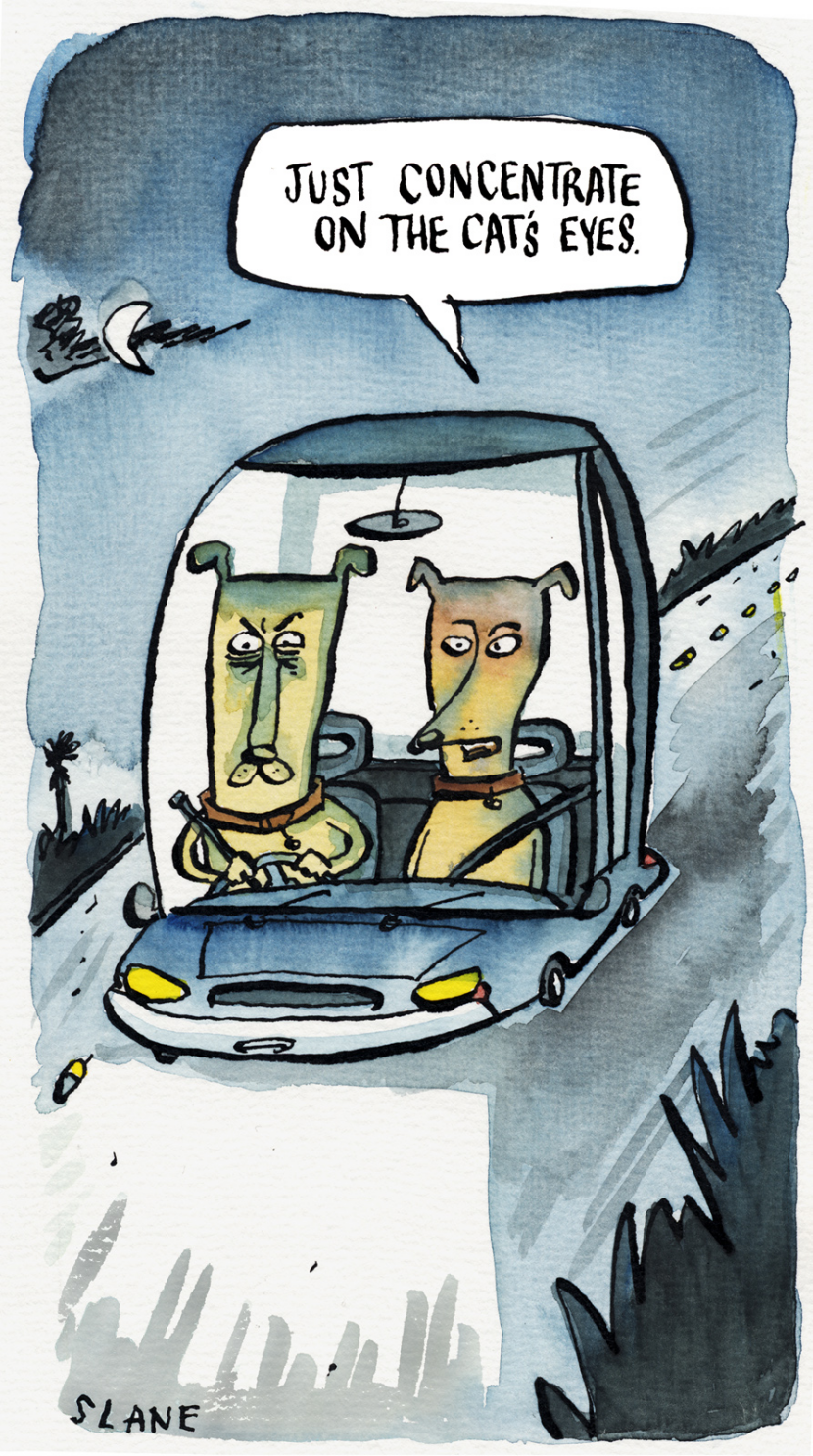 Cats Eyes In The Road