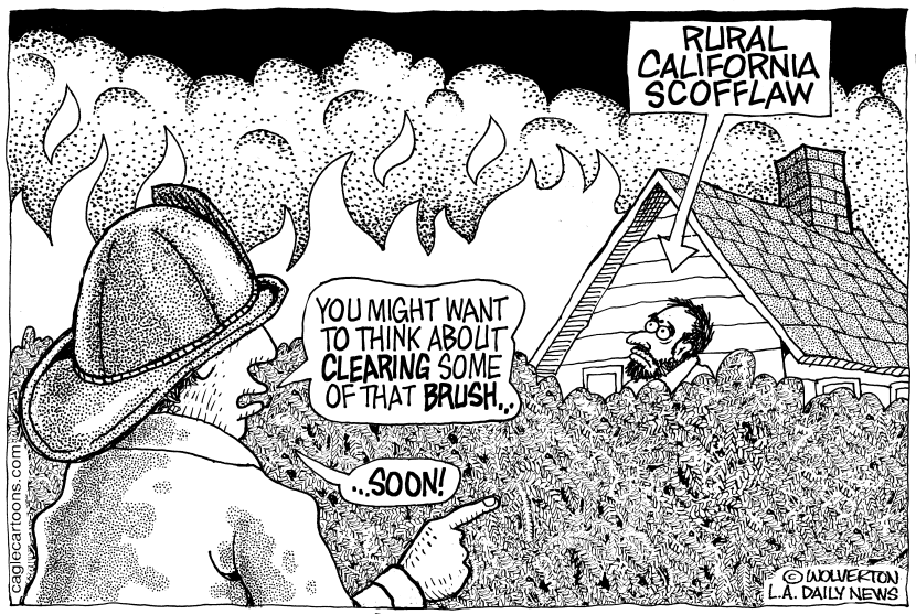LOCAL-CA Fire Safety Brush Clearing
