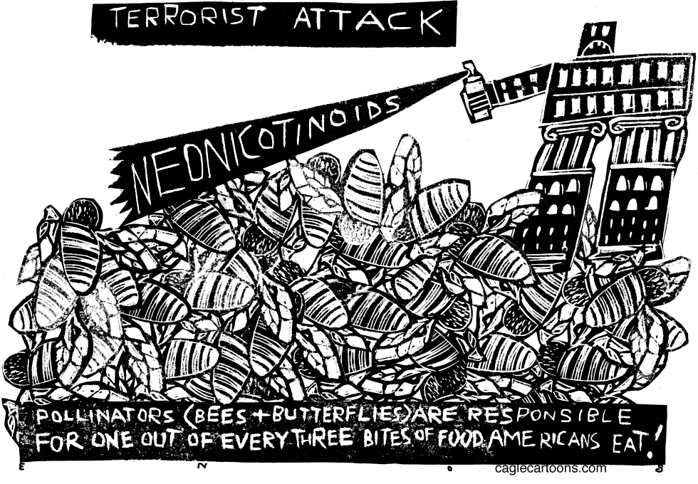 Terrorist Attack