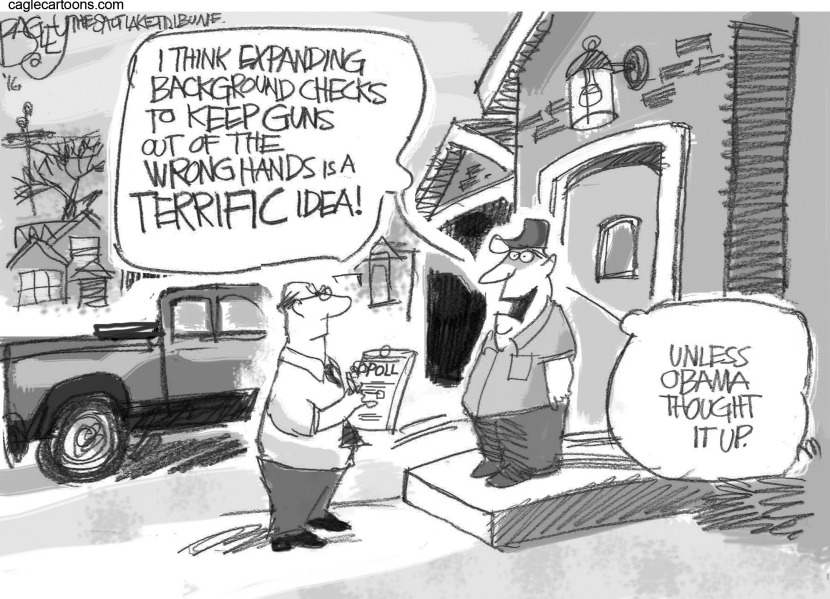 Gun Checks