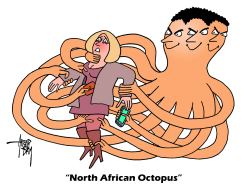 NORTH AFRICAN OCTOPUS by Arend Van Dam