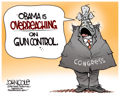CONGRESSIONAL 'UNDERREACH'  by John Cole