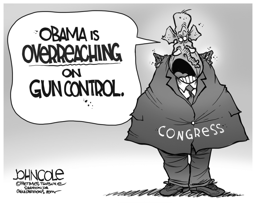 Congressional 'underreach' BW