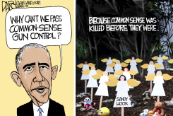 OBAMA GUN CONTROL by Jeff Darcy