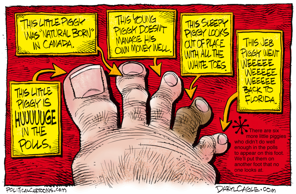 Republican Little Piggies COLOR