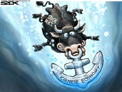CHINA STOCK MARKET TAKEDOWN   by Steve Sack