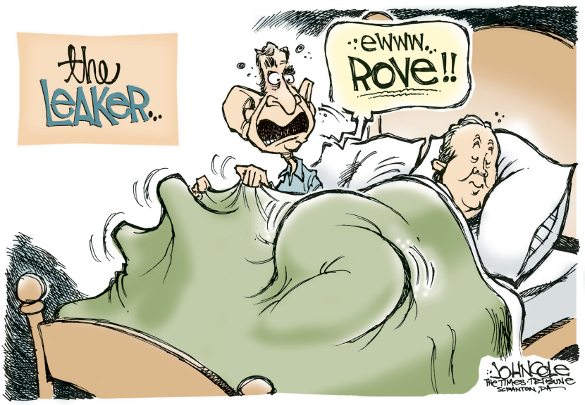 Rove the leaker