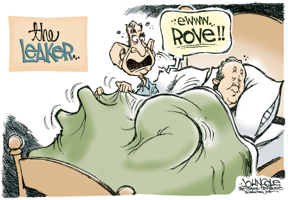 Rove the leaker