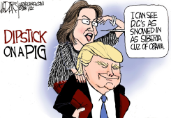 SARAH PALIN ENDORSES DONALD TRUMP by Jeff Darcy