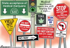 CALIF MARIJUANA LAWS by Steve Greenberg