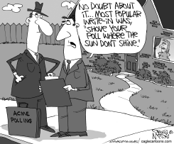 HATING POLLS by Gary McCoy