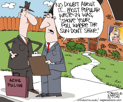 HATING POLLS  by Gary McCoy