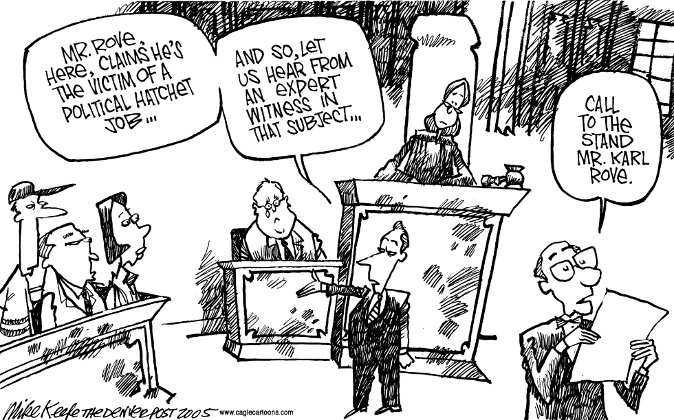 Political Hatchet Job