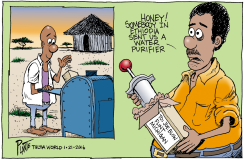 FLINT WATER by Bruce Plante