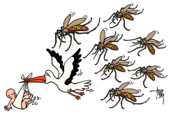 PREGNANCY AND ZIKA by Arend Van Dam