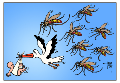 PREGNANCY AND ZIKA by Arend Van Dam