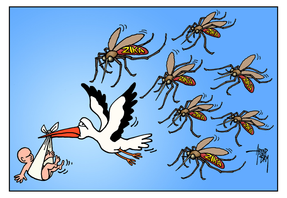 pregnancy and Zika