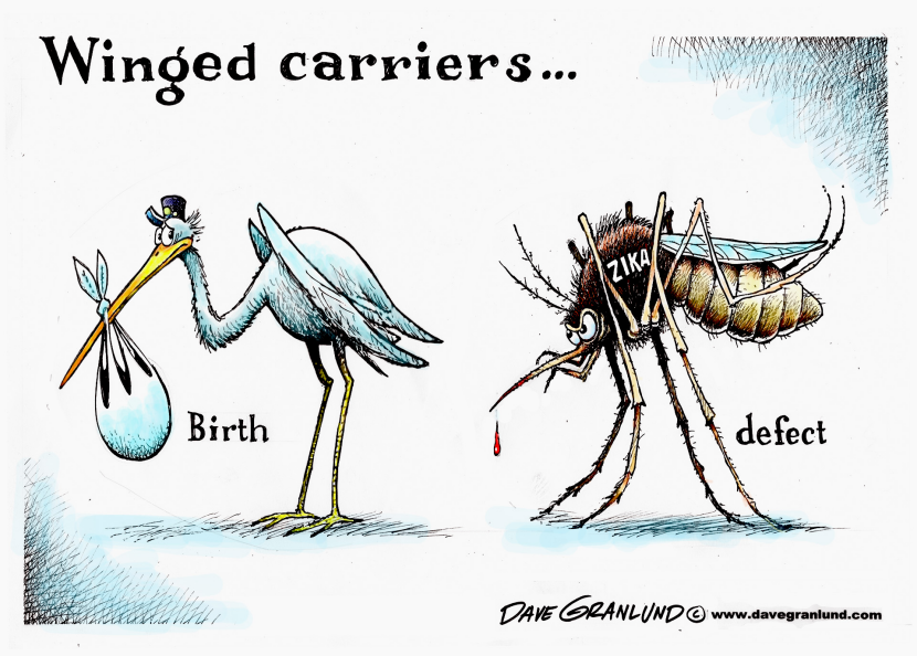 Zika virus