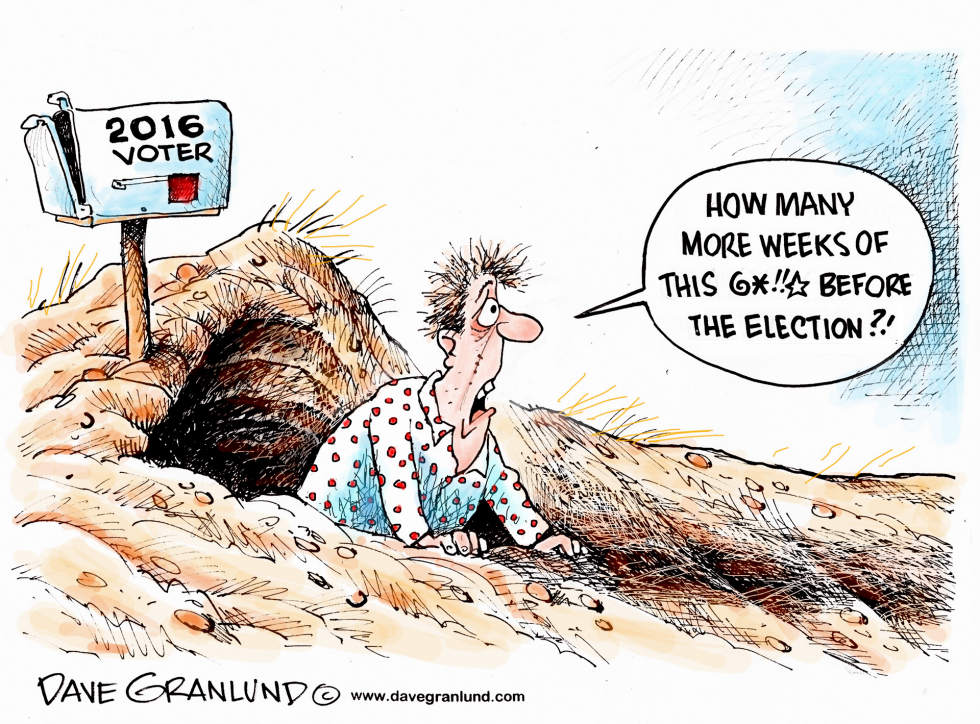  GROUNDHOG DAY AND VOTERS by Dave Granlund