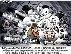 IOWA CAUCUS CRAZINESS  by Steve Sack