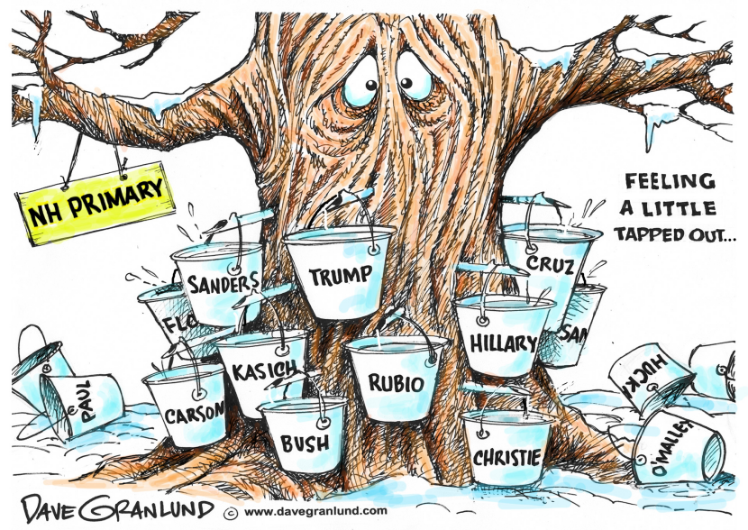 New Hampshire Primary 2016