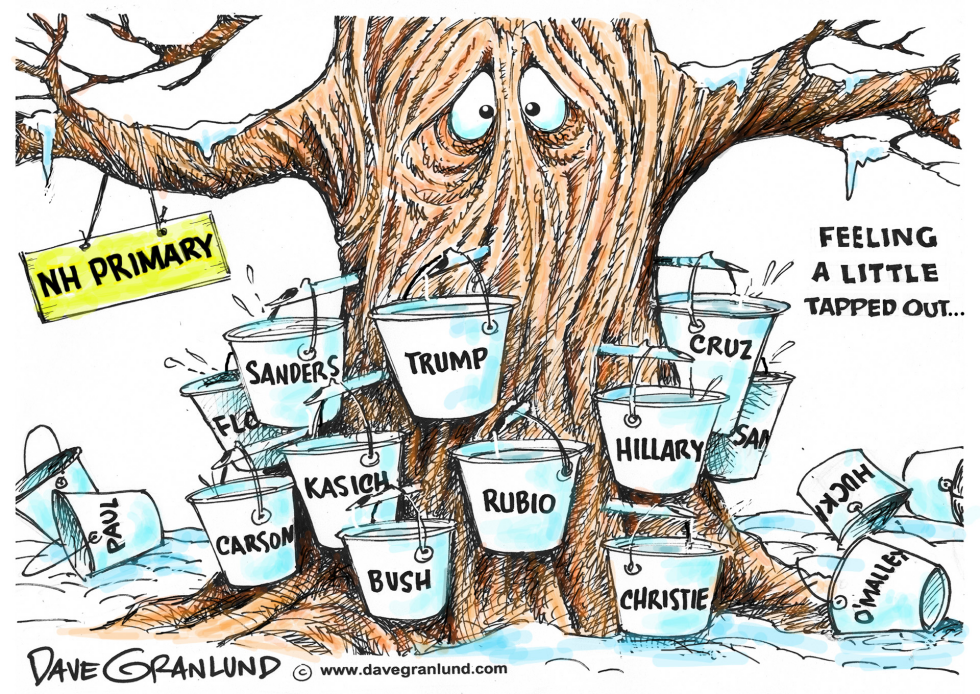 New Hampshire Primary 2016