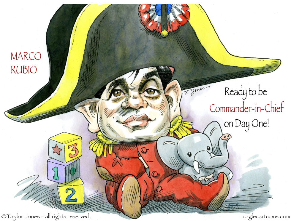 Marco Dreams Big - COLOR