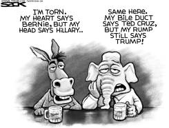 HEART AND HEAD  by Steve Sack