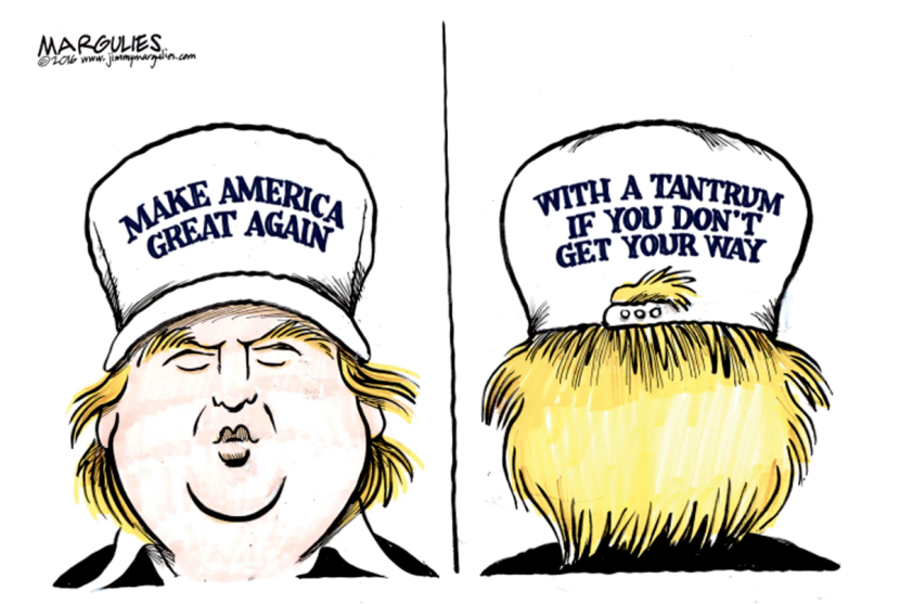 Trump hat color