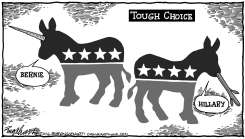 BERNIE OR HILLARY by Bob Englehart