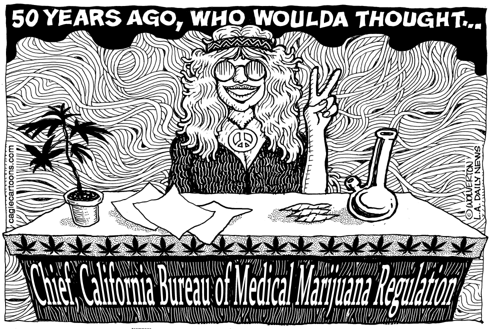 LOCAL-CA Medical Marijuana Chief