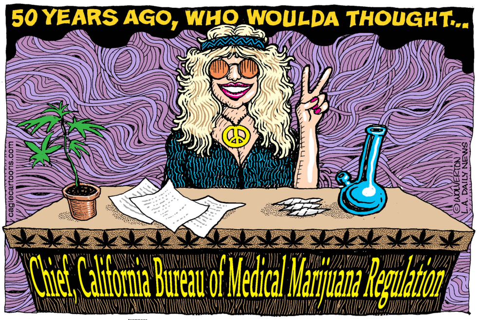  LOCAL-CA MEDICAL MARIJUANA CHIEF by Wolverton