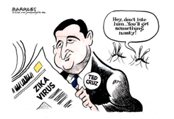 TED CRUZ by Jimmy Margulies