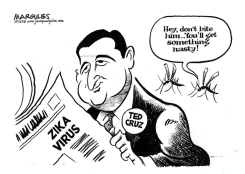 TED CRUZ by Jimmy Margulies
