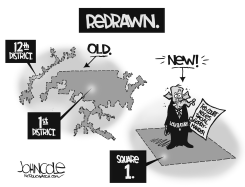 LOCAL NC  GERRYMANDERS OVERTURNED BW by John Cole