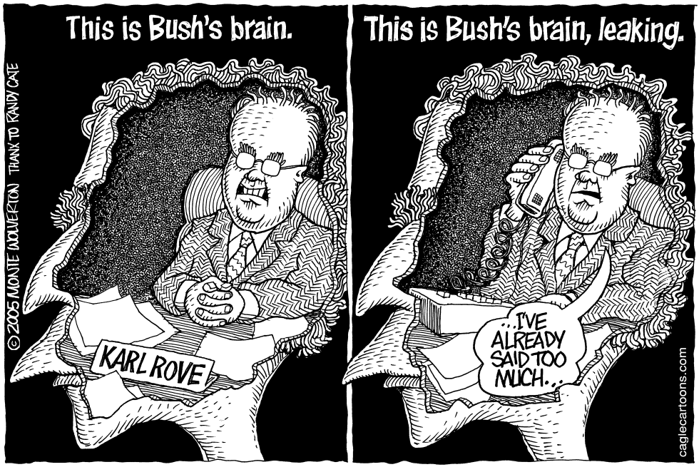 This Is Bushs Brain